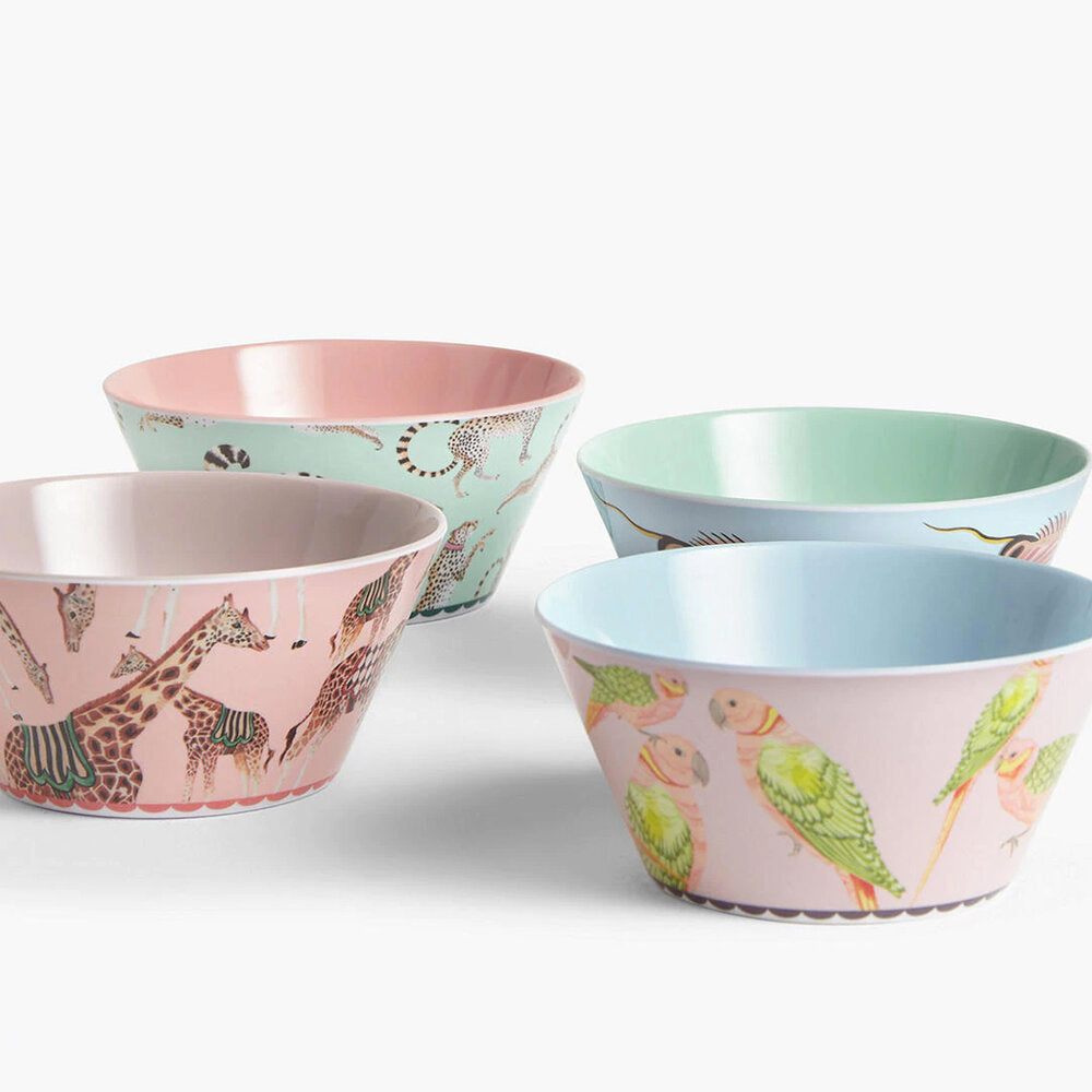 Giraffe, parrot, cheetah and fish Safari Picnic Bowls