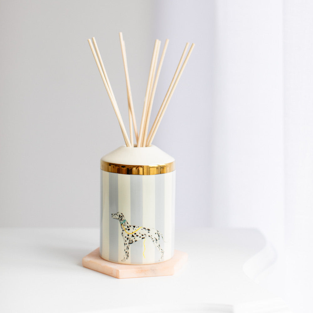 Rock Your Spots Off reed diffuser