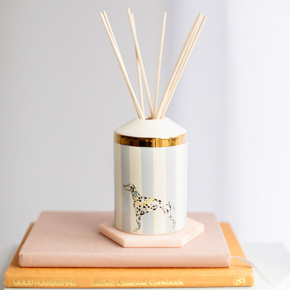 Rock Your Spots Off reed diffuser