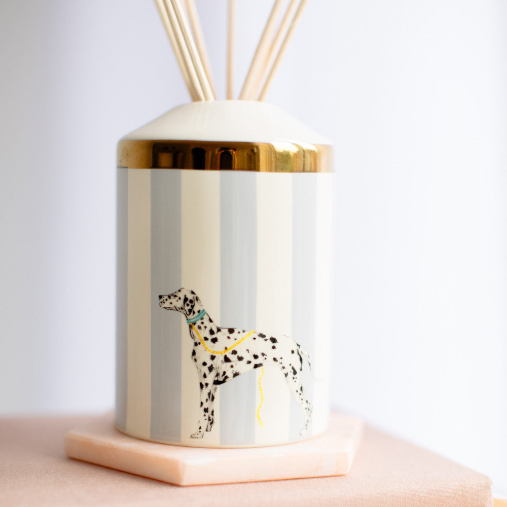 Rock Your Spots Off reed diffuser