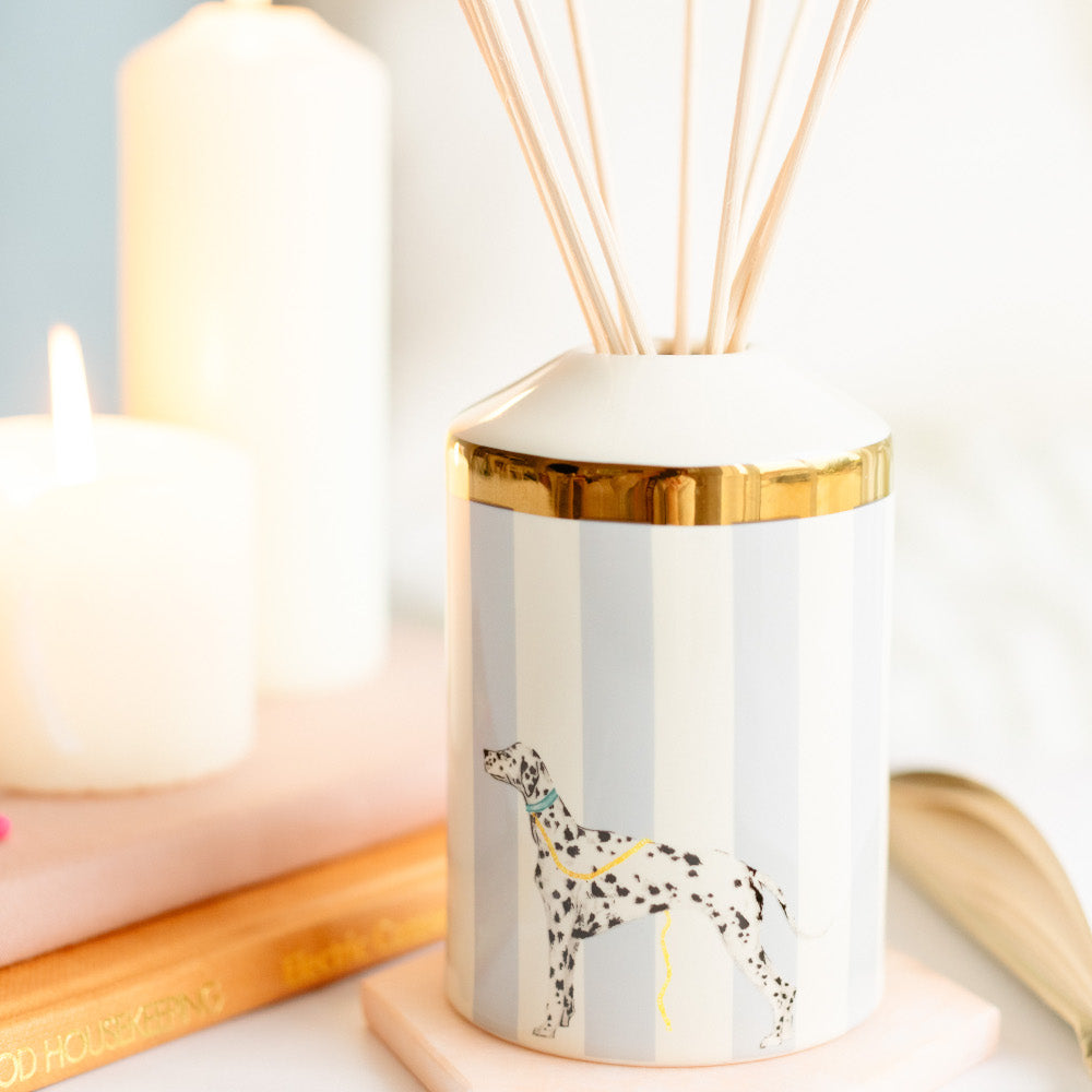 Rock Your Spots Off reed diffuser