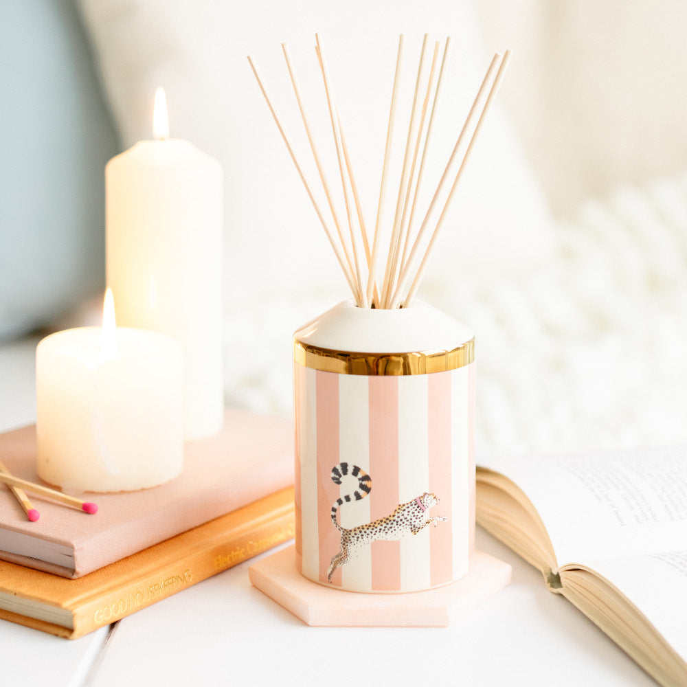 Ceramic reed diffuser