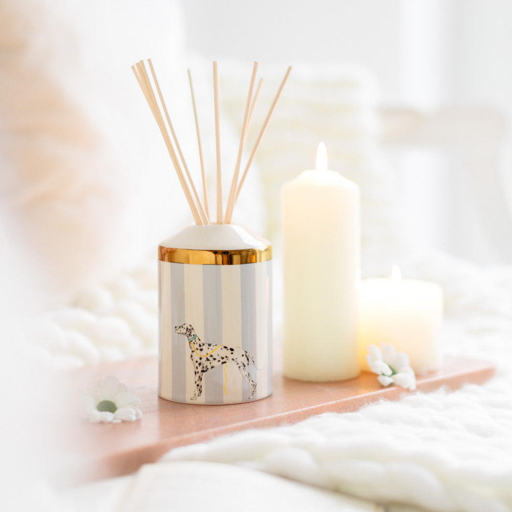 Rock Your Spots Off Reed Diffuser