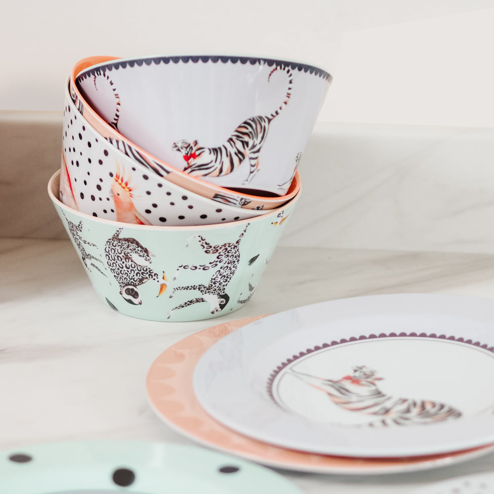 Picnic bowls and picnic plates