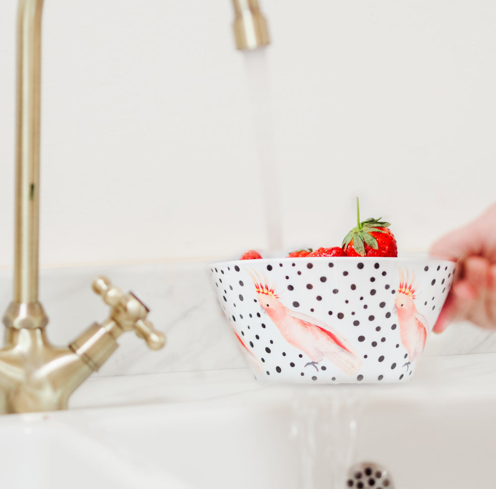 Bird picnic bowl filled with strawberries