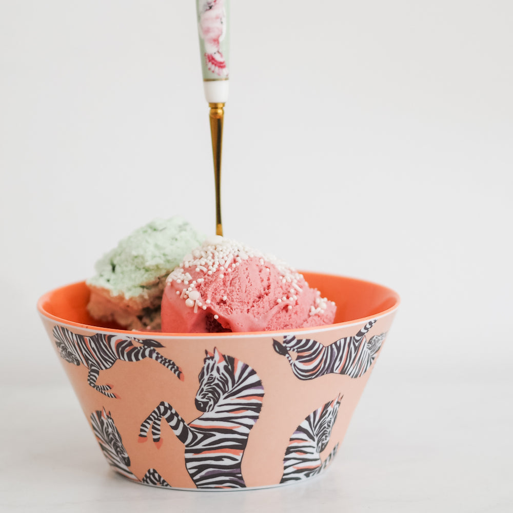 Zebra picnic bowl with ice cream and birds teaspoon