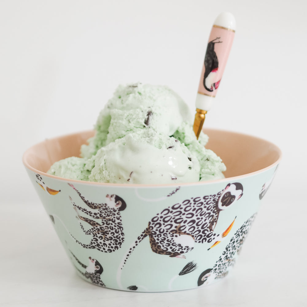 Monkey picnic bowl with ice cream and spoon