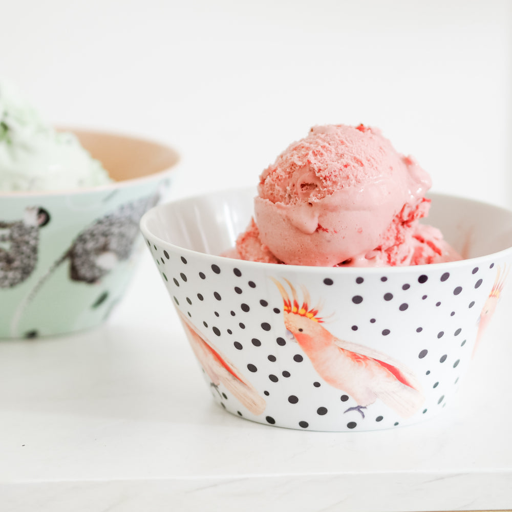 Bird picnic bowl with ice cream