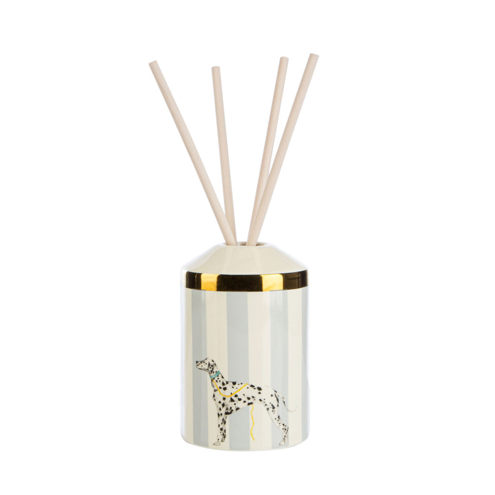 Rock Your Spots Off reed diffuser